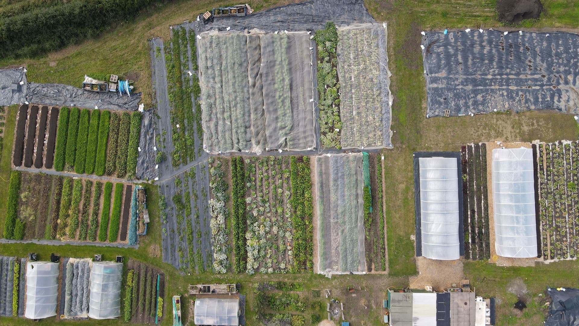 Frith Farm