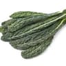 Kale: Cavolo Nero