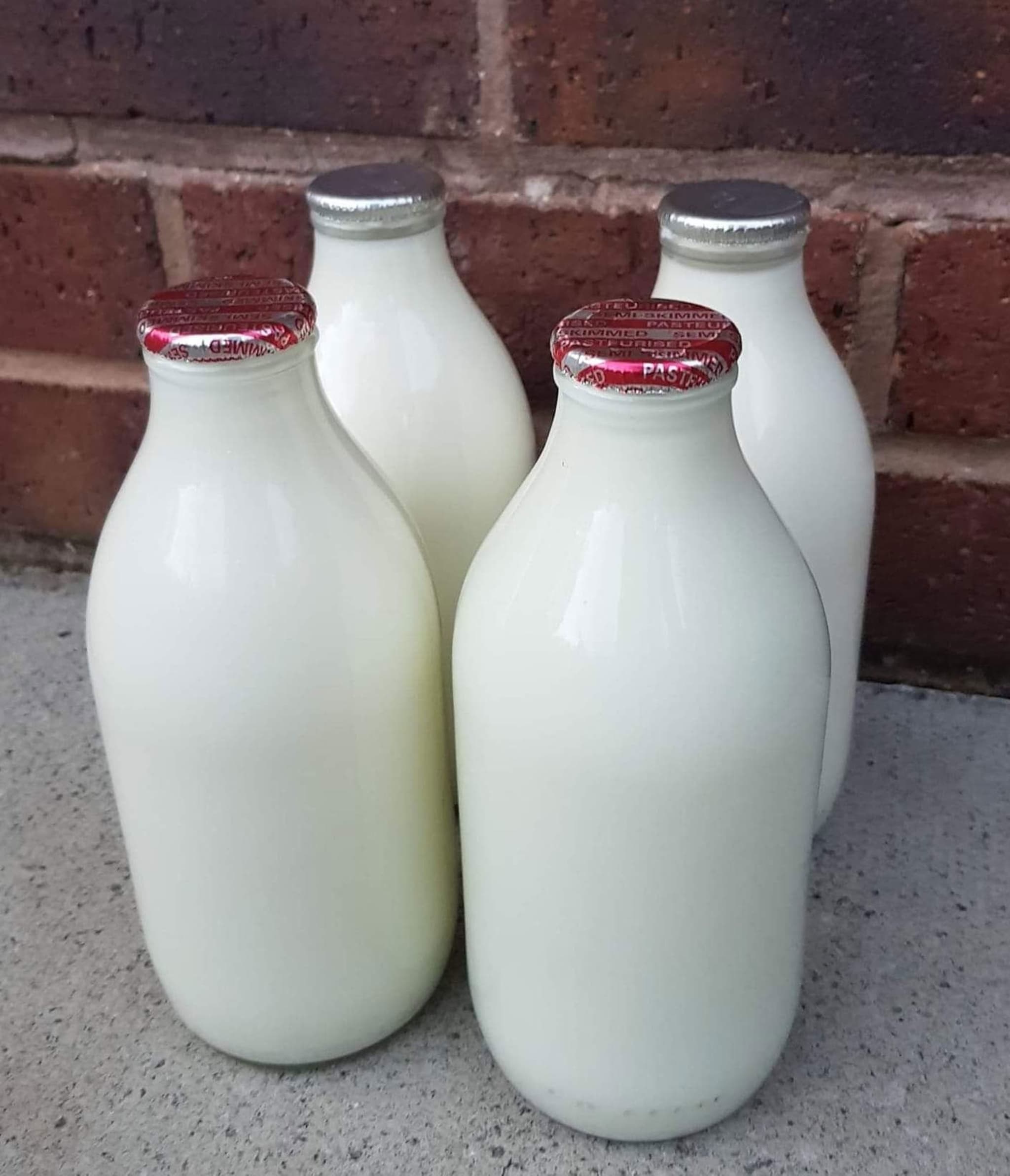Homogenised Milk - 1 Pint