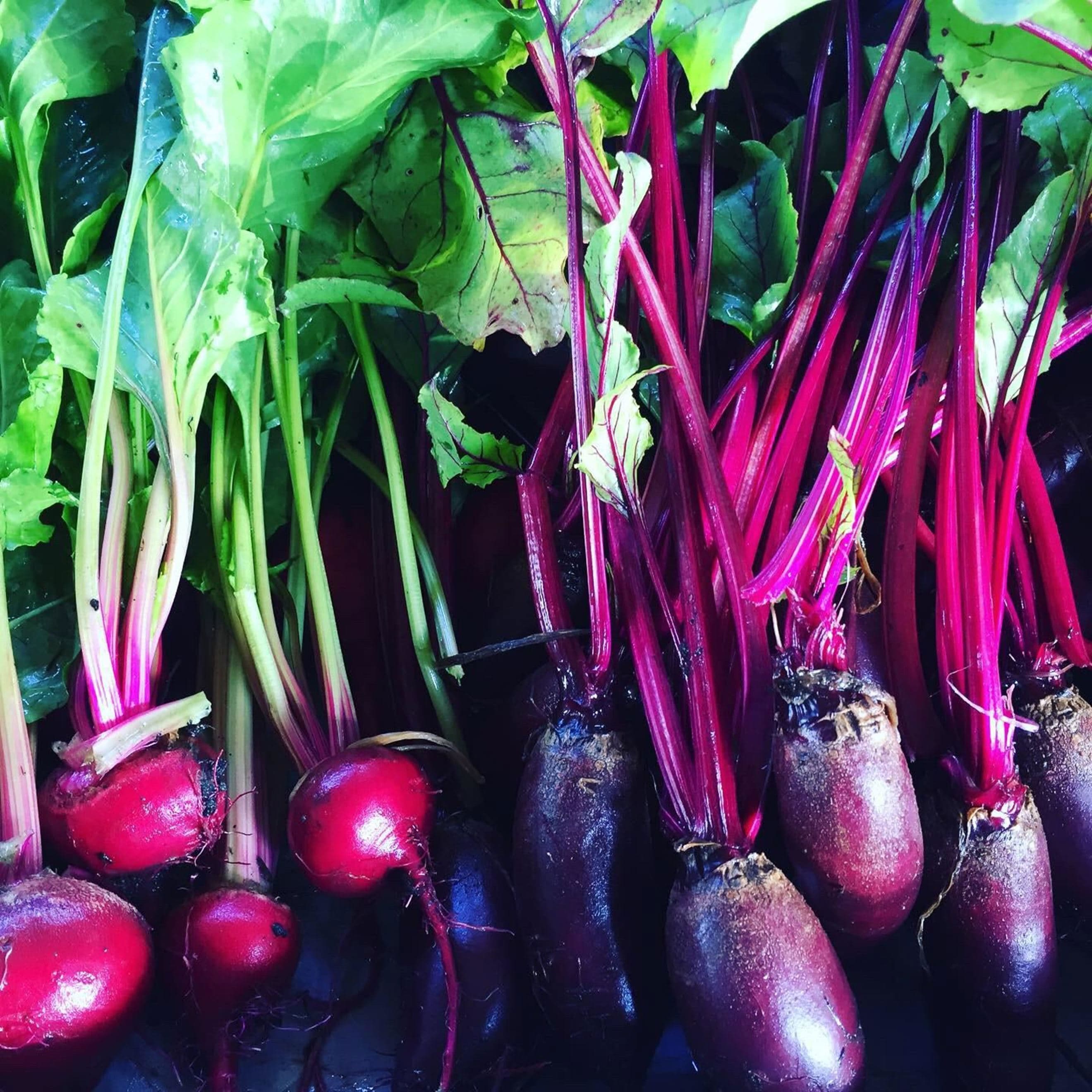 Beetroot